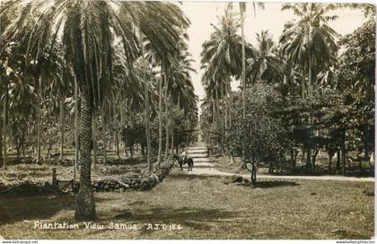 Samoa Plantation View photocard