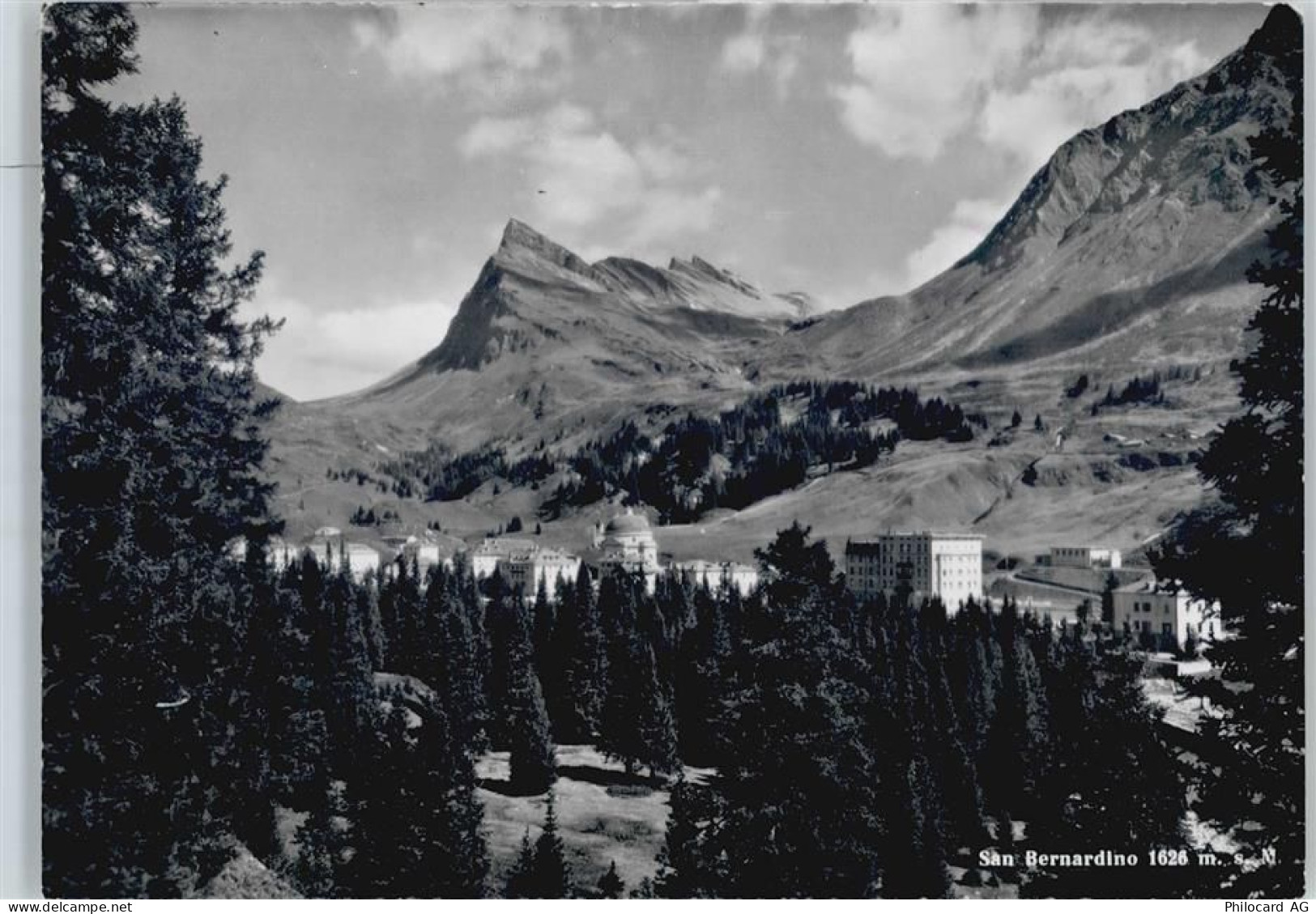 San Bernardino - 50563189