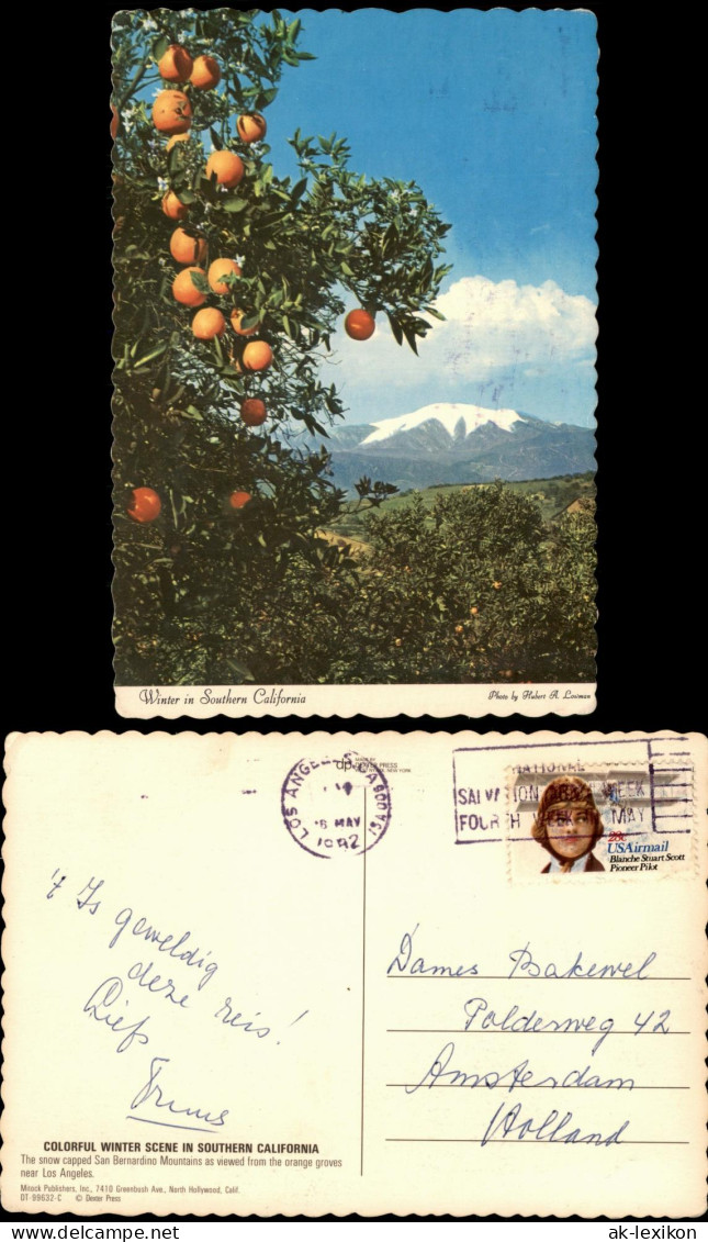 San Bernardino-Misox Mesocco  Orangenhain und San Bernardino Mountains 1982