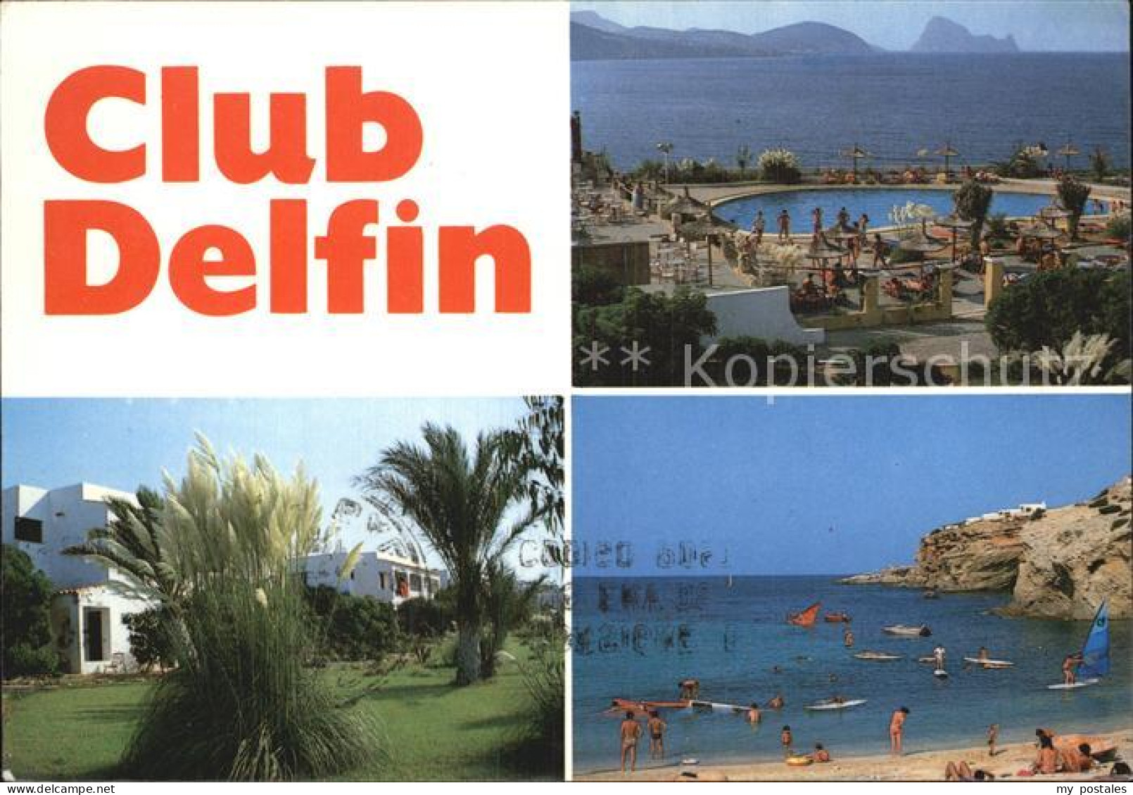 San Jose Ibiza Cub Delfin