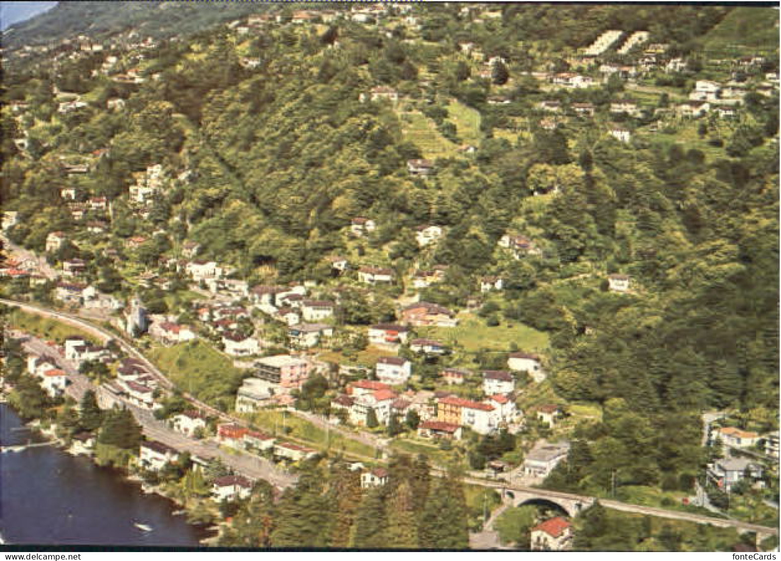 San Nazzaro Nazzaro  x 1984