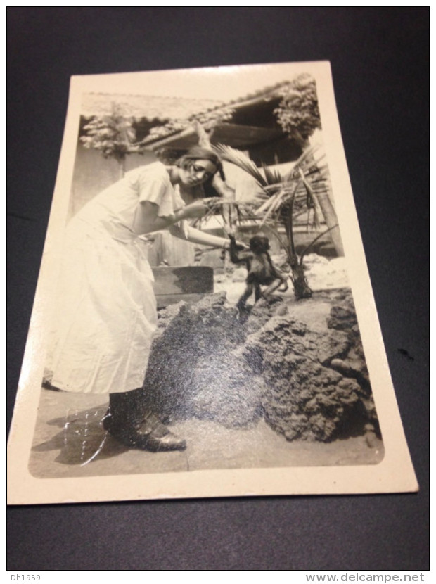 SAN SALVADOR  EL SALVADOR AFFE MONKEY SINGE