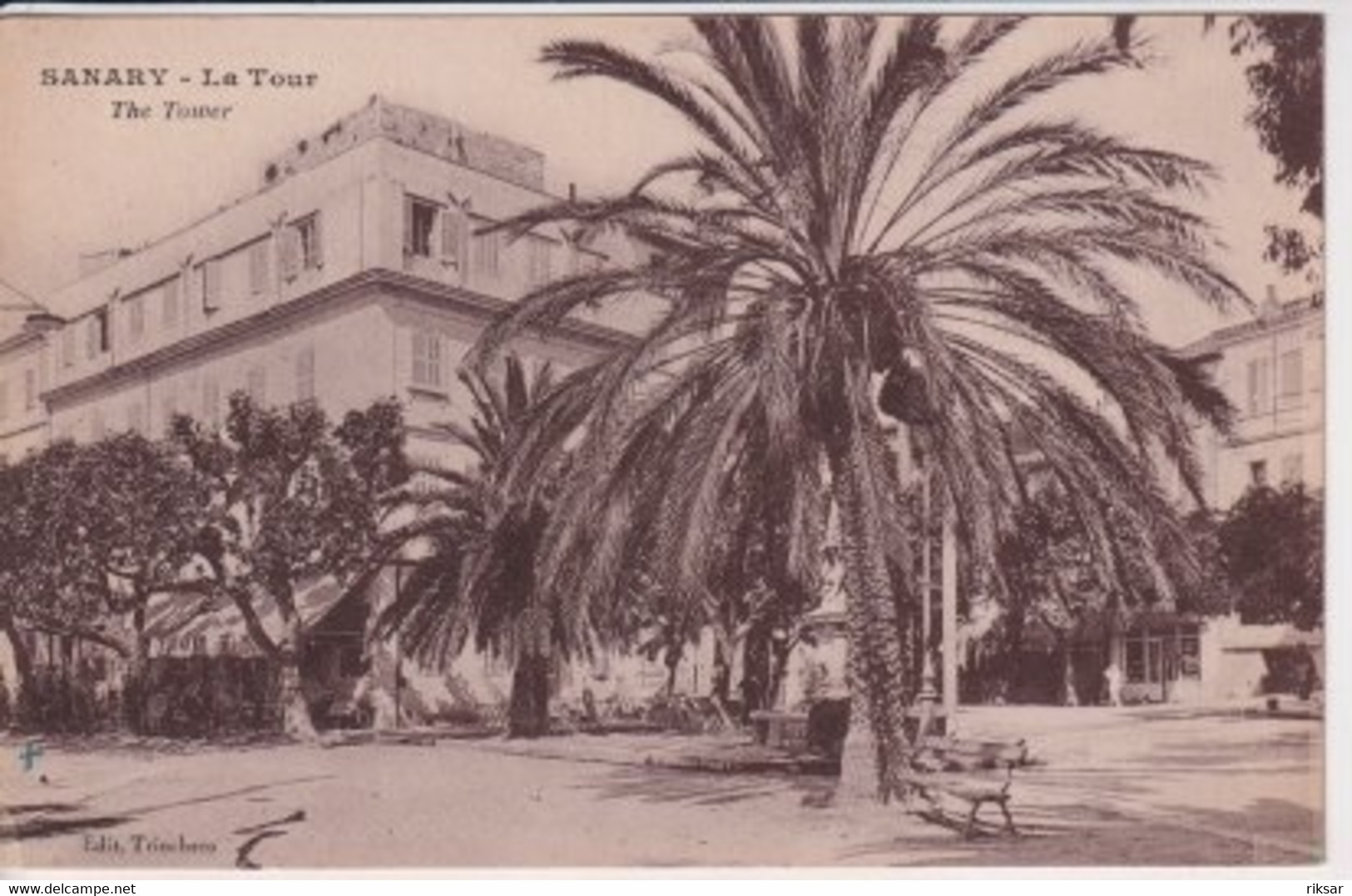 SANARY SUR MER(ARBRE)