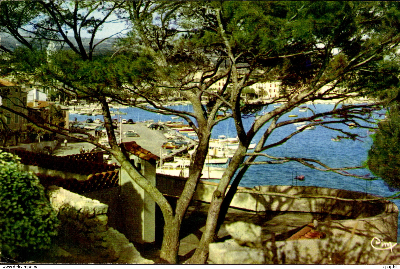 Sanary sur Mer CPA A l'abri sous les pins Regards vers le port