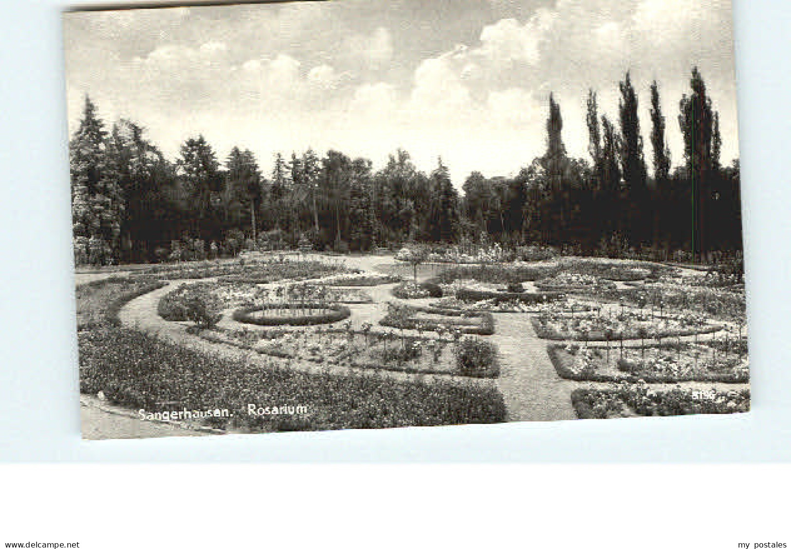 Sangerhausen Suedharz Sangerhausen