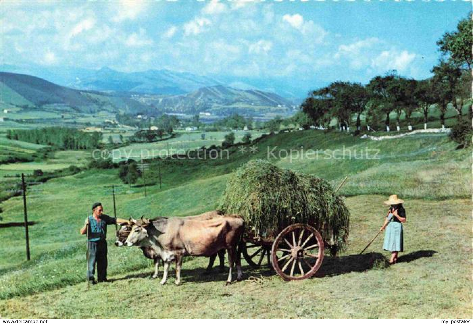 SANTANDER Cantabria ES Ochsenkarren Heuladung Berglandschaft Wiesen Baeume Bauer