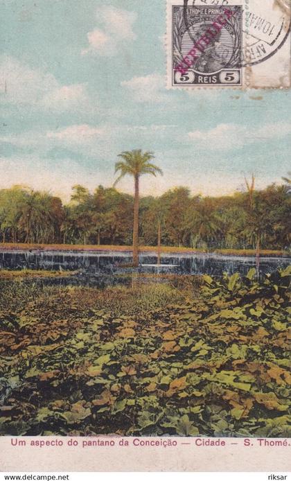 SAO TOME ET PRINCIPE(CONCEICAO) ARBRE