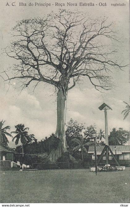 SAO TOME ET PRINCIPE(OCA) ARBRE