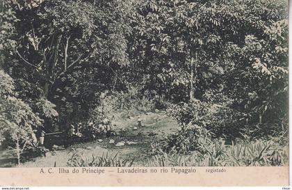 SAO TOME ET PRINCIPE(PAPAGAIO) LAVEUSE