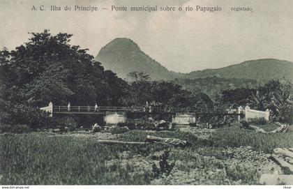 SAO TOME ET PRINCIPE(PAPAGAIO)
