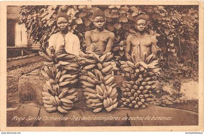 Sao Tome et Principe / 07 - Roça Santa Catharina