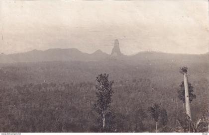 SAO TOME ET PRINCIPE(PHOTO) ARBRE