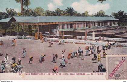 SAO TOME ET PRINCIPE(ROCA BOA)