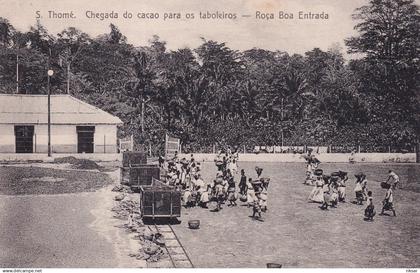 SAO TOME ET PRINCIPE(ROCA BOA) CACAO