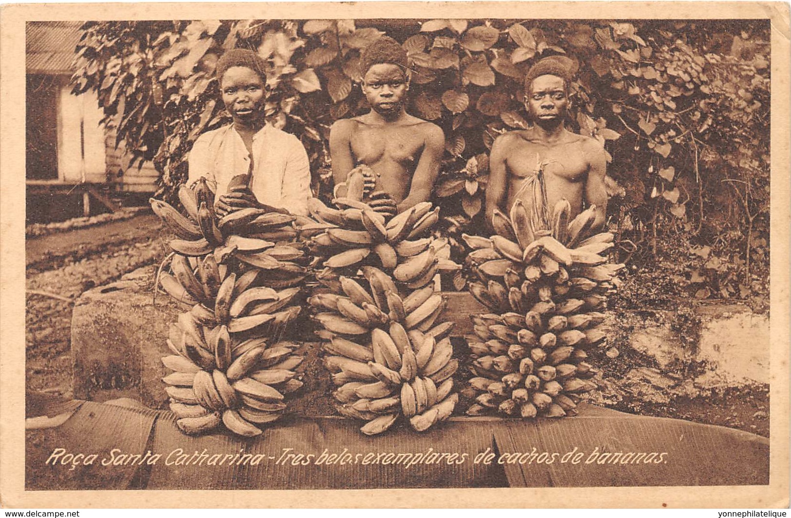 Sao Tome et Principe / 07 - Roça Santa Catharina