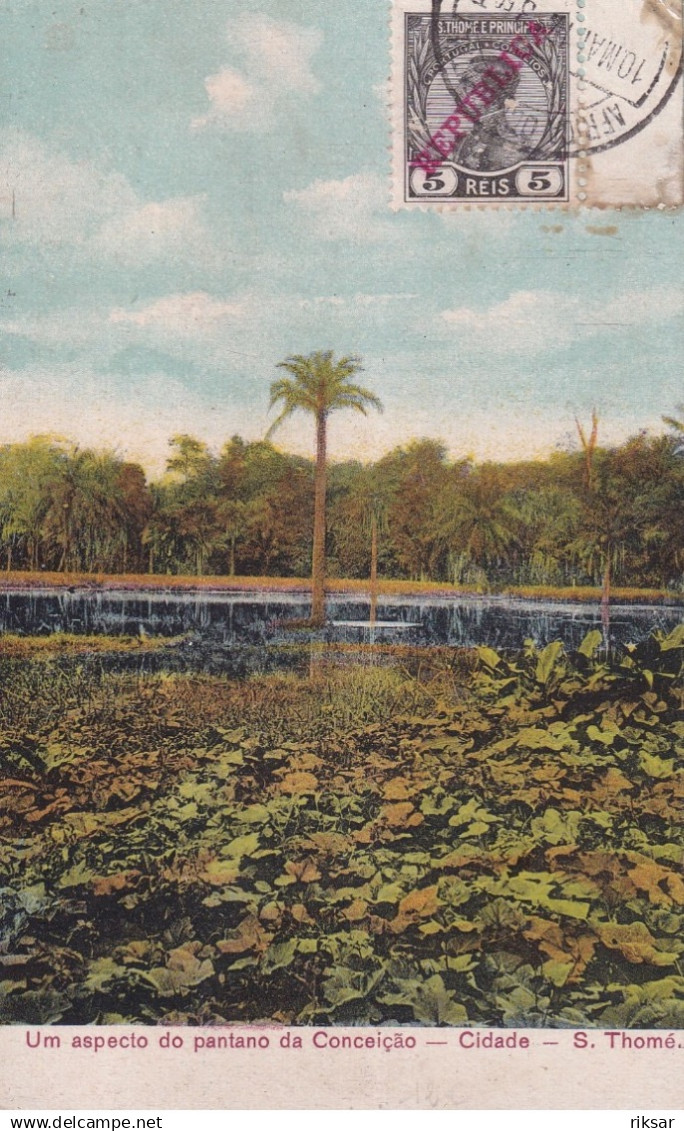 SAO TOME ET PRINCIPE(CONCEICAO) ARBRE