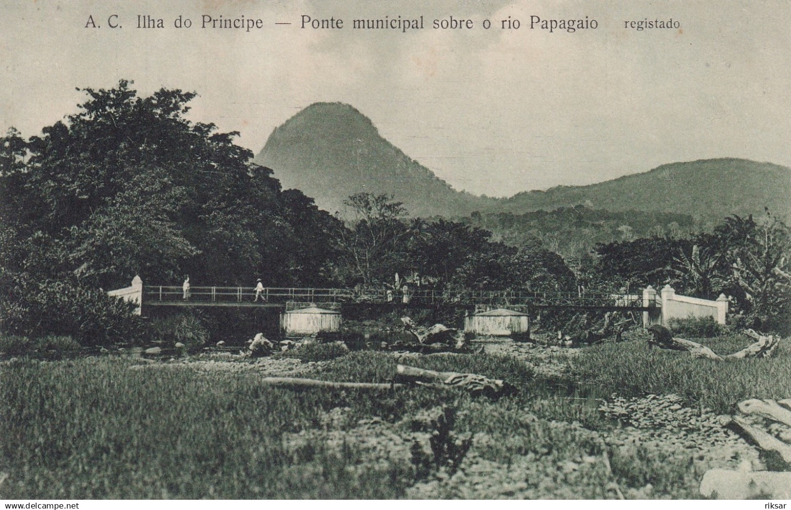 SAO TOME ET PRINCIPE(PAPAGAIO)