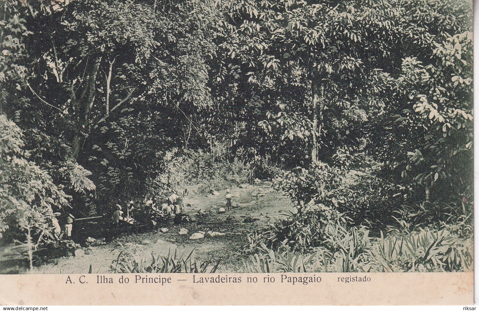 SAO TOME ET PRINCIPE(PAPAGAIO) LAVEUSE