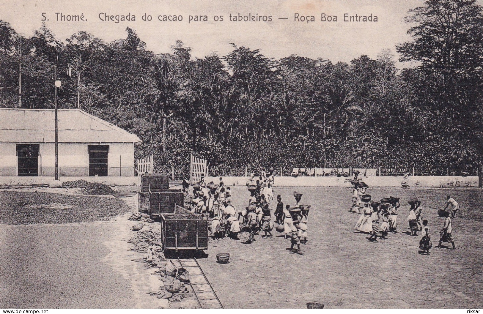 SAO TOME ET PRINCIPE(ROCA BOA) CACAO