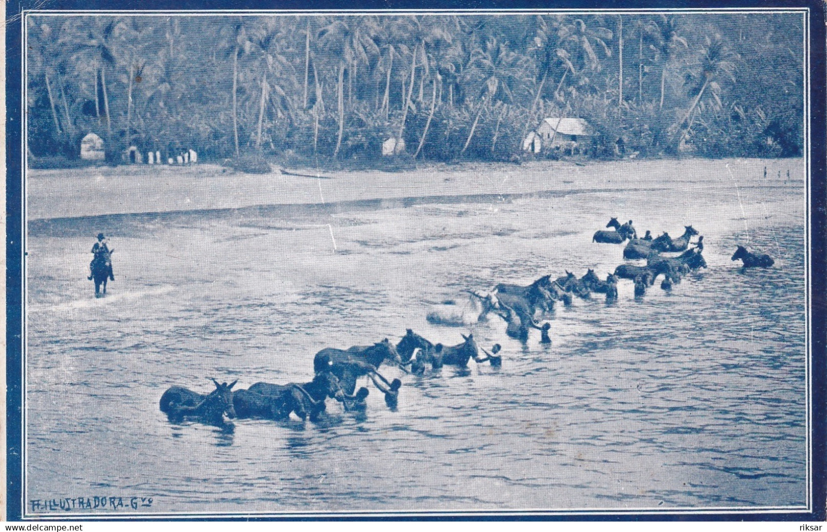 SAO TOME ET PRINCIPE(ROCA COLONIA ACORIANA) CHEVAL