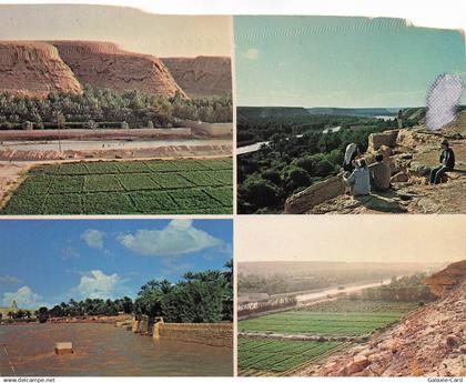 ARABIE SAOUDITE RIYAD WADI HANIFAH