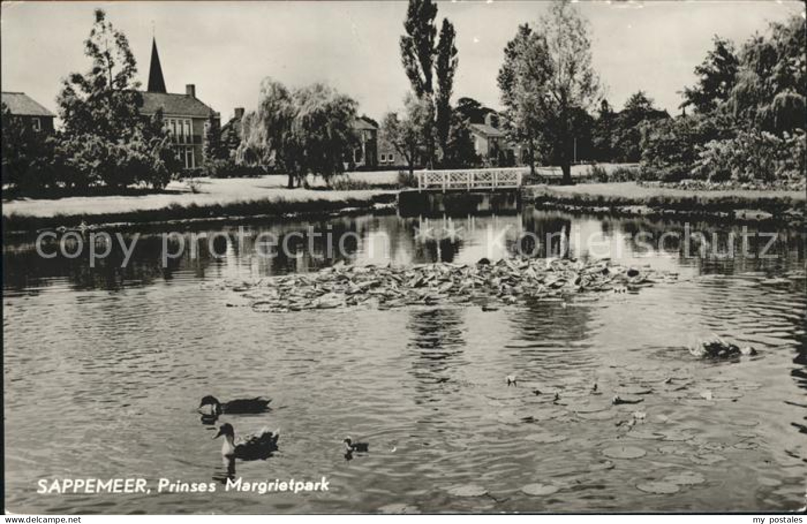 Sappemeer Prinses Margrietpark Ententeich