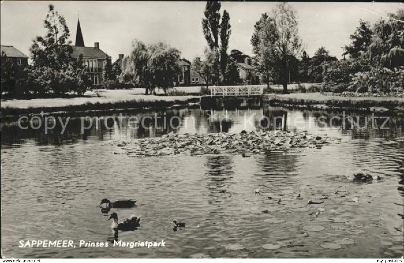 Sappemeer Prinses Margrietpark Ententeich