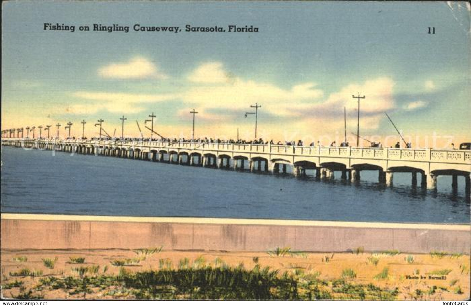 Sarasota Fishing and Ringling Causeway