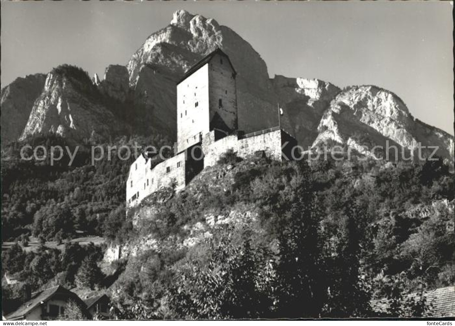 Sargans Schloss Sargans mit Gonzen