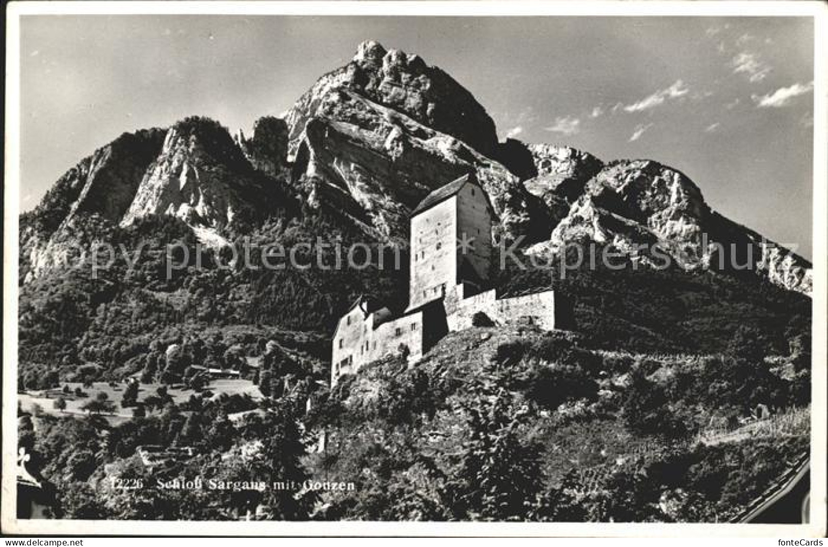 Sargans Schloss Sargans mit Gonzen