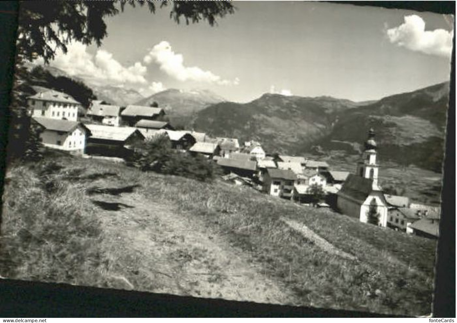 Sarn  x 1965