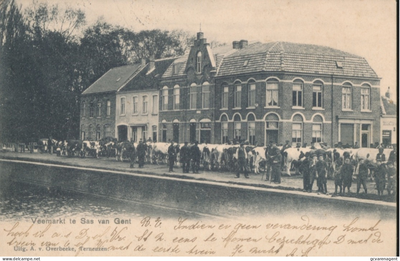 SAS VAN GENT      VEEMARKT TE SAS VAN GENT. 1902