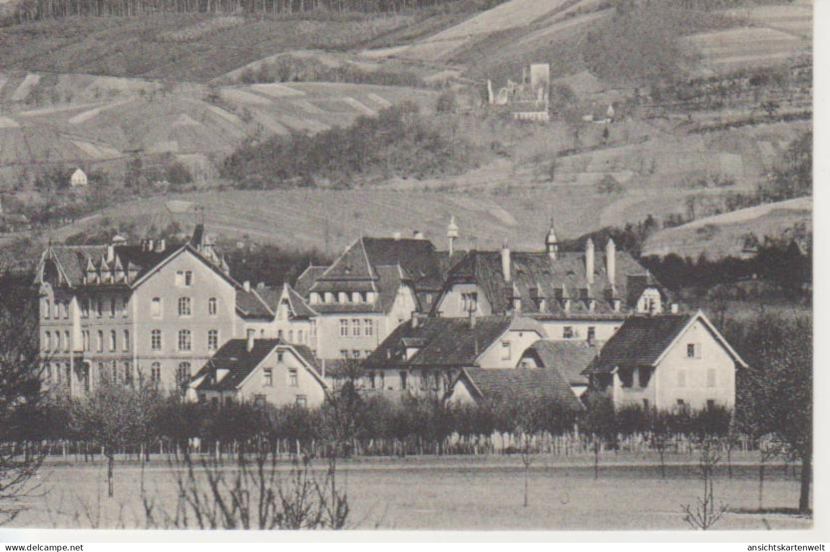 Sasbach Lendersche Anstalt gl1910 #206.600