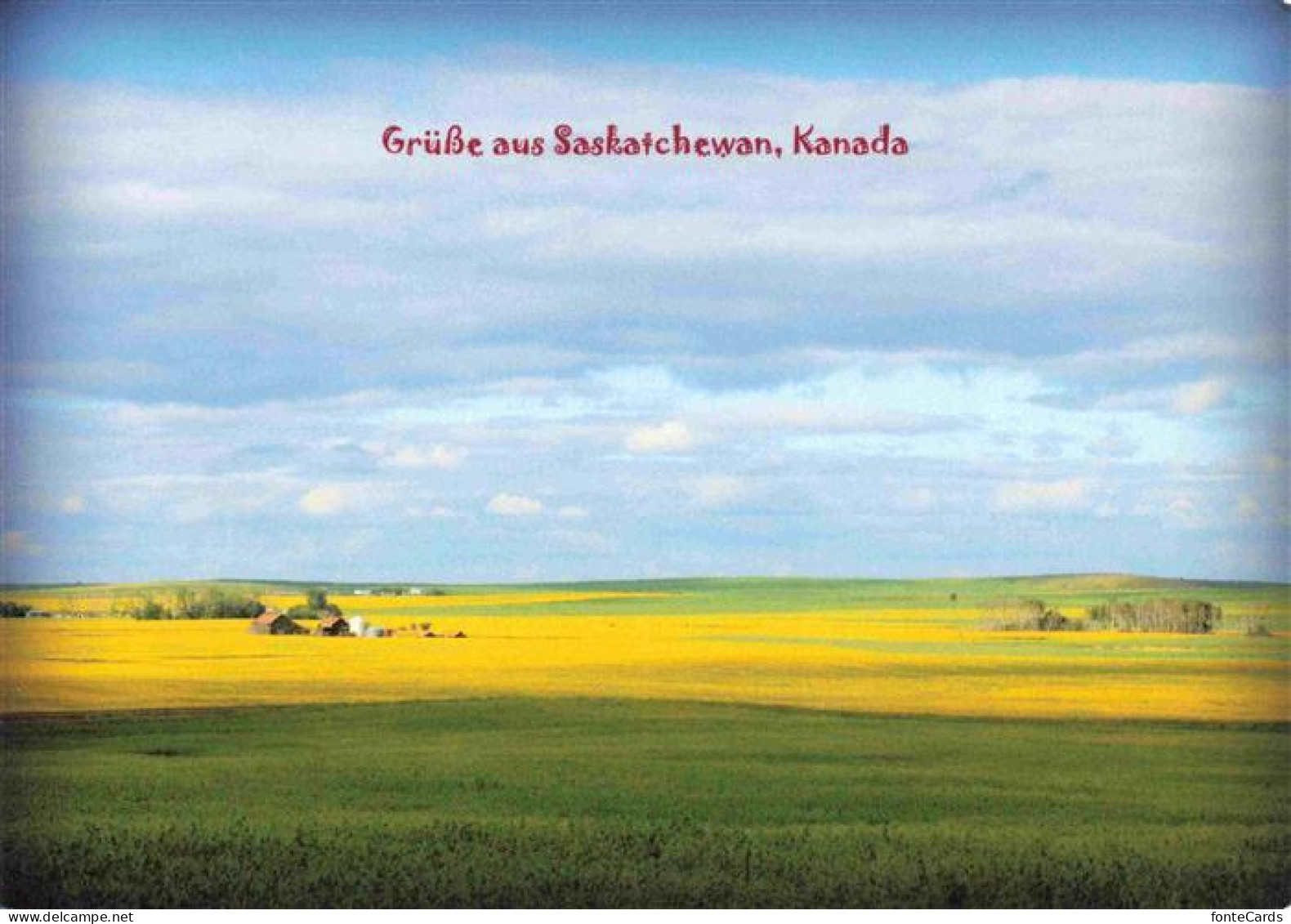 Saskatchewan Canada Panorama