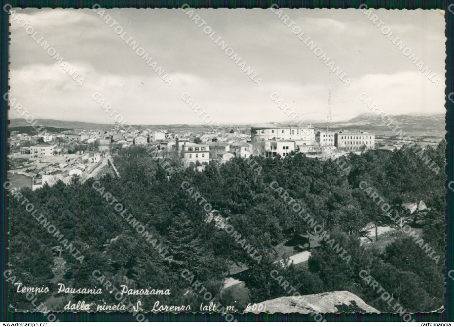 Sassari Olbia Tempio Pausania Foto FG cartolina ZKM7973