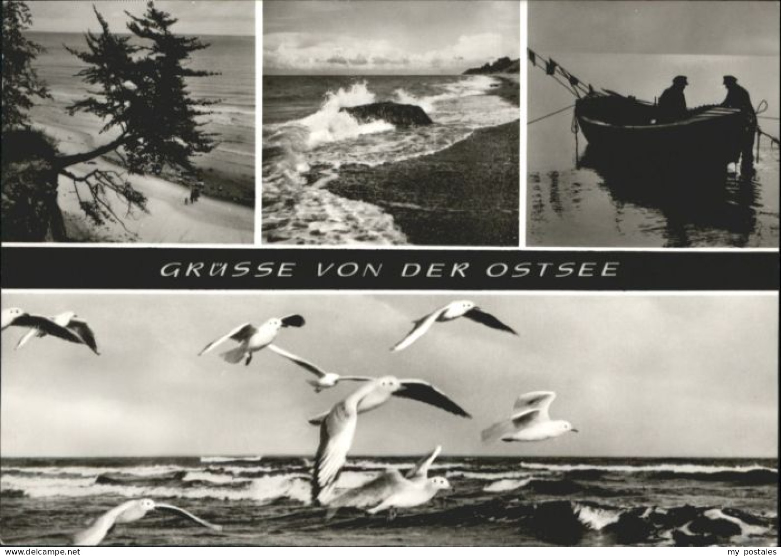 Sassnitz Ostseebad Ruegen Sassnitz [Stempelabschlag]