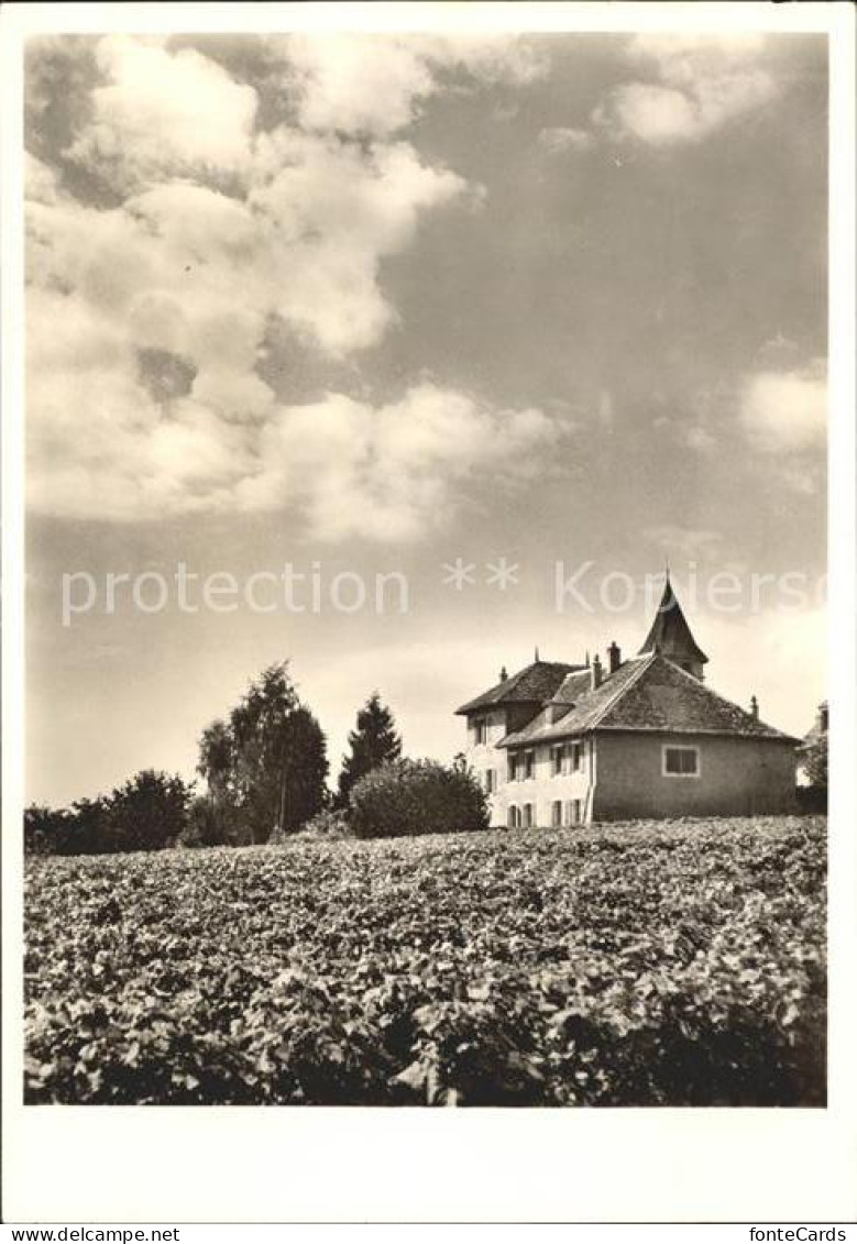 Satigny Dorfmotiv