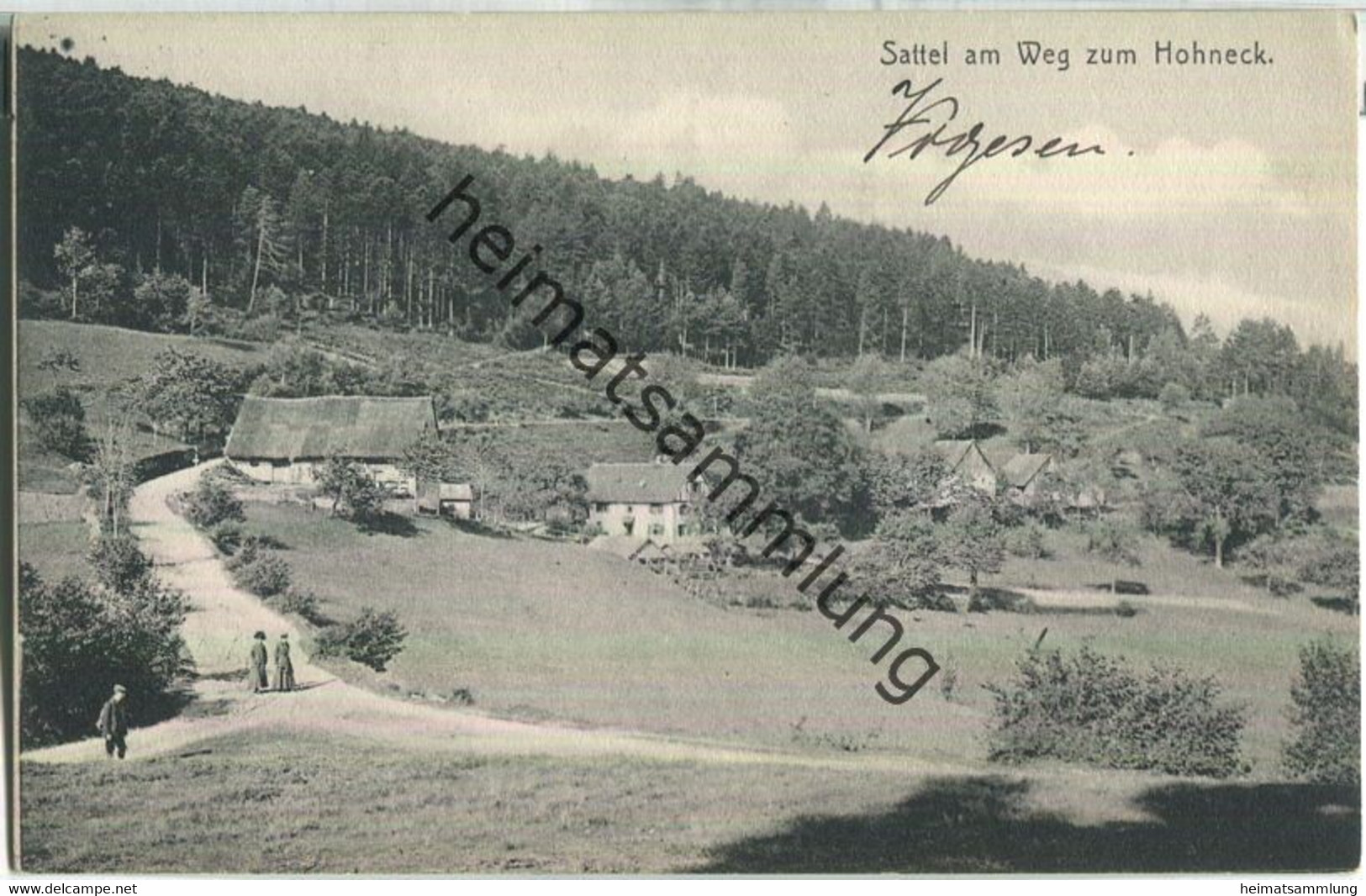 Sattel am Weg zum Hohneck - Verlag Arthur Hergt Münster Els. - Feldpost