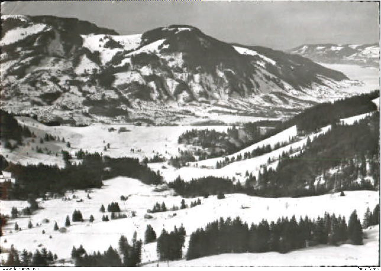 Sattel Hochstuckli x 1957