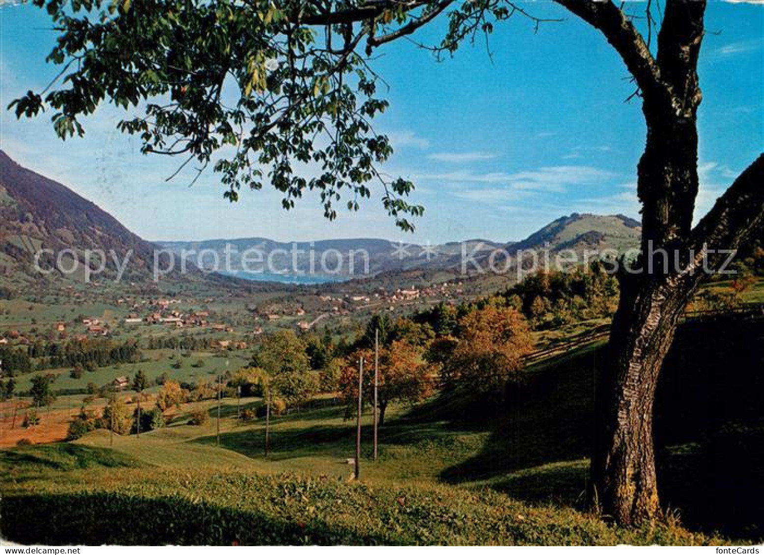 Sattel Schwyz