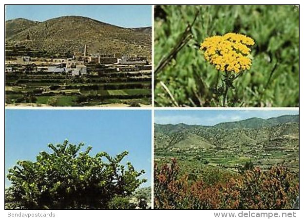 saudi arabia, ASIR, Multiview, Flower, Plants (1970s)