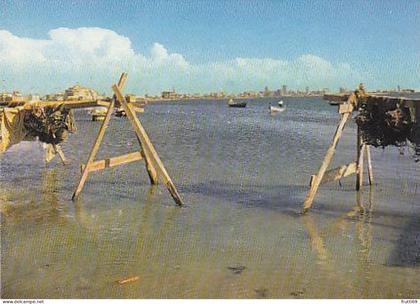 AK 204318 SAUDI-ARABIA - Jeddah - Spring in the sea -Cornice