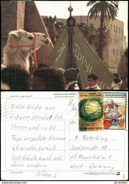 Postcard .Saudi Arabien Arabien Arabische Typen mit Kamel Camel 1987