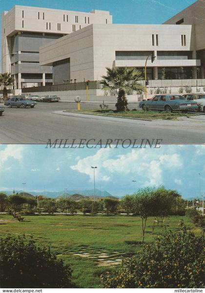 SAUDI ARABIA - Riyadh / Al Sadad - 2 Postcards M.Shalabi