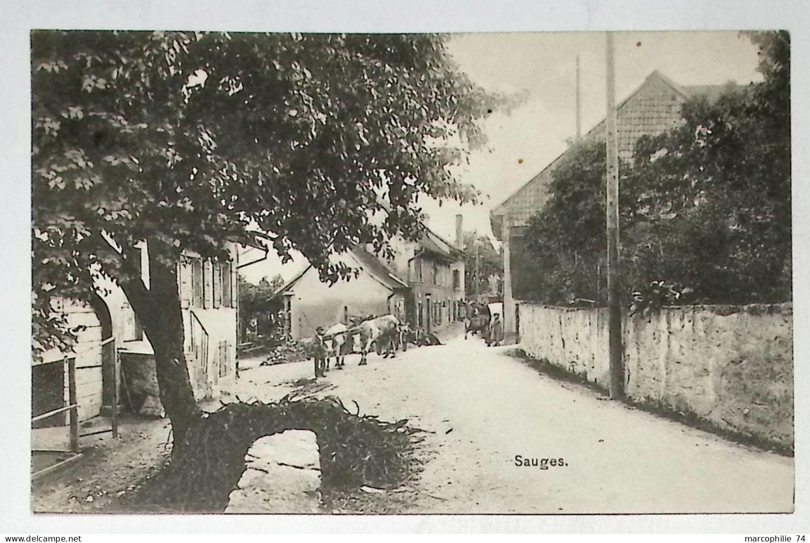 SAUGES CANTON NEUCHATEL + ATTELAGE