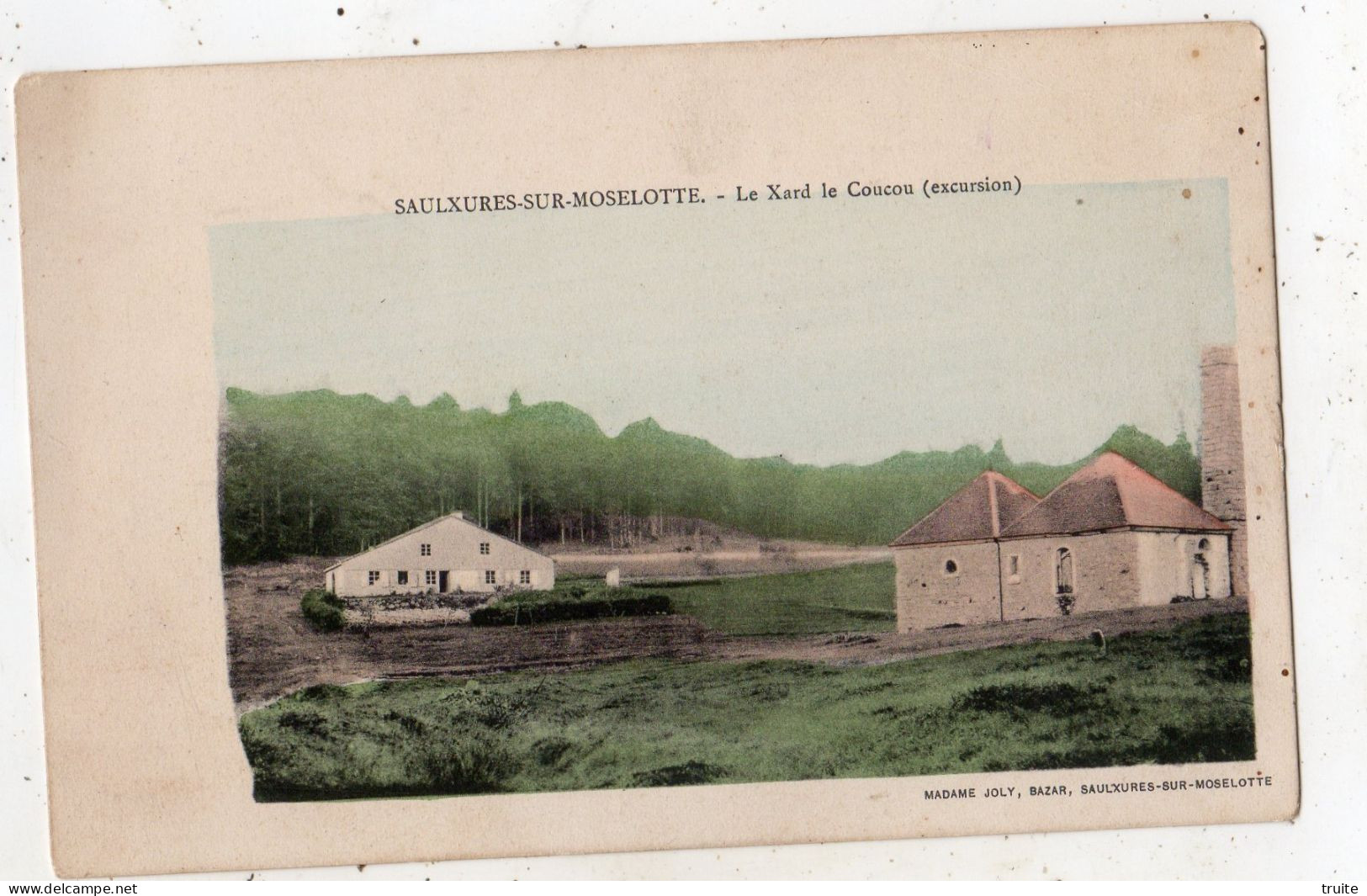 SAULXURES-SUR-MOSELOTTE LE XARD LE COUCOU ( EXCURSION )