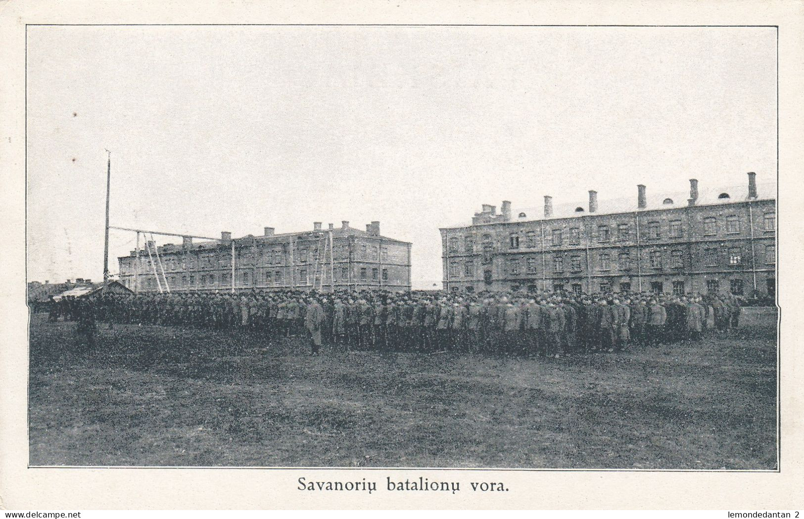 Savanoriu batalionu vora