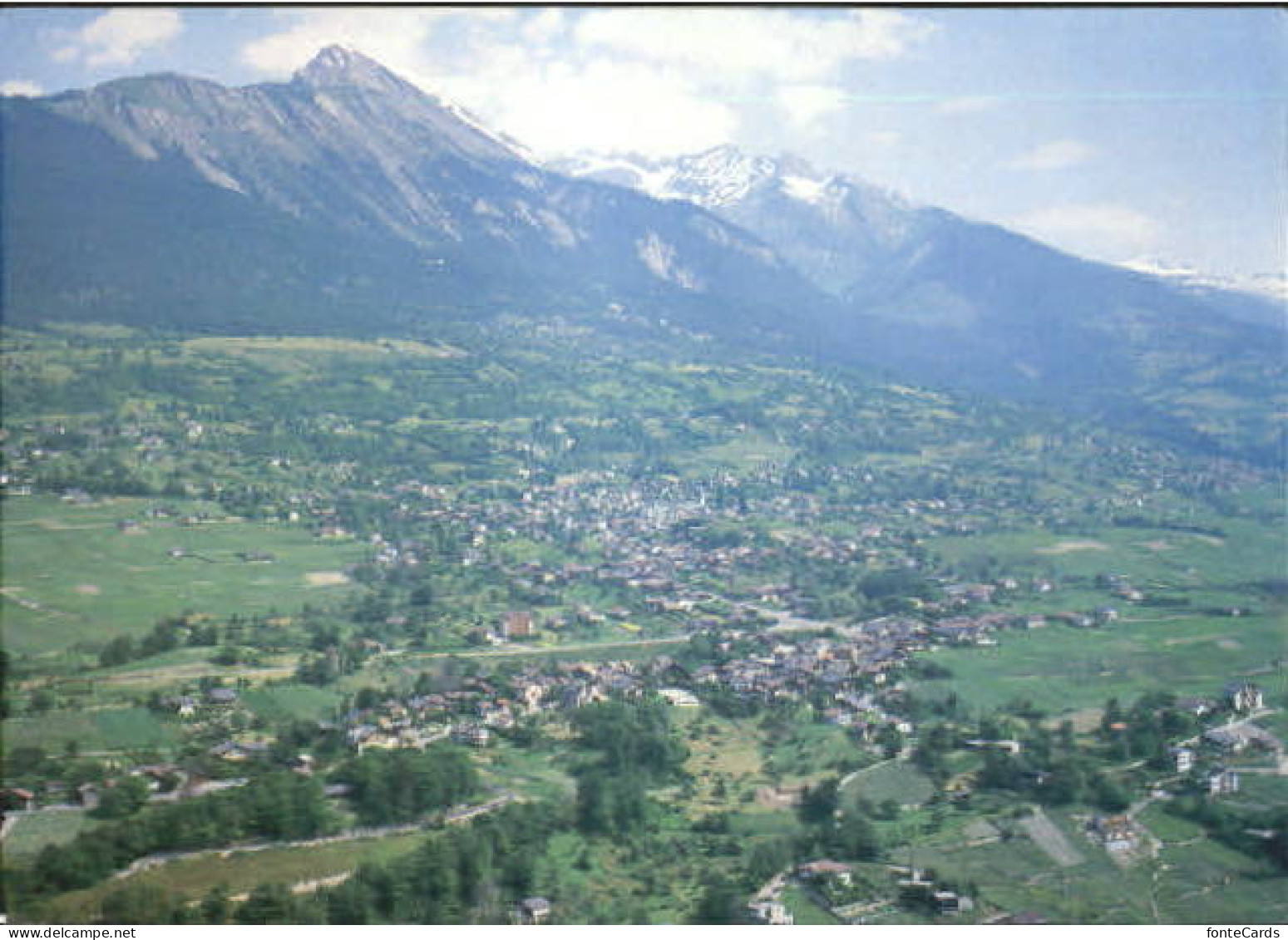 Saviese  x 1991