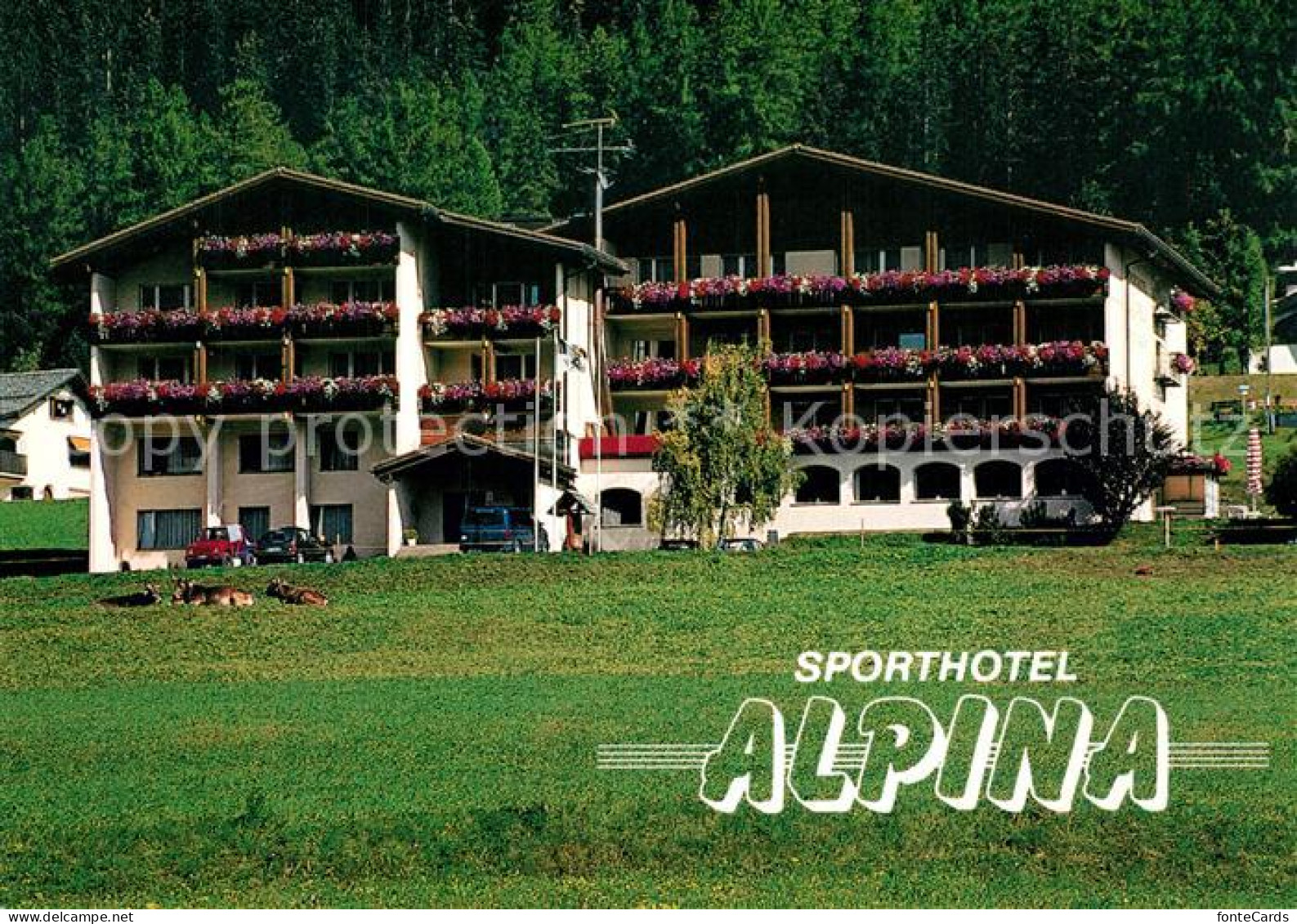 Savognin Hotel Alpina