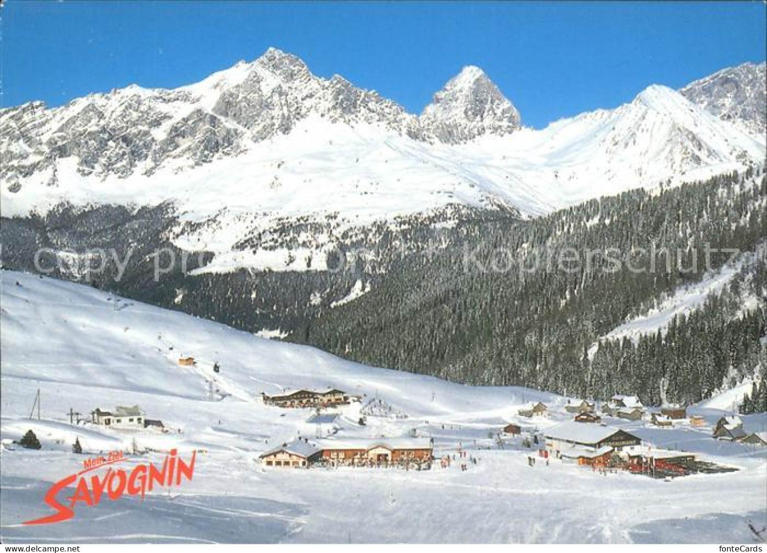 Savognin Panorama